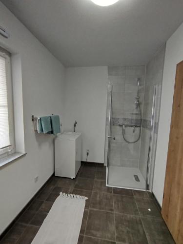 a bathroom with a shower and a sink at Ferienwohnung LandZeit 1 in Schömberg