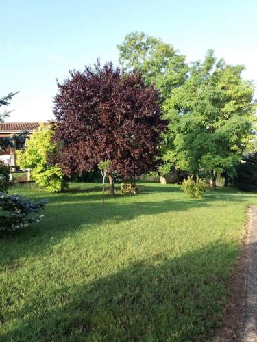 un champ d'herbe planté d'arbres en arrière-plan dans l'établissement un coin tranquille, aux Mathes