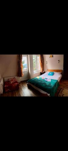 Postel nebo postele na pokoji v ubytování Casa Jianu