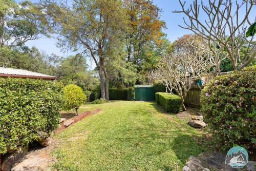 Modern House with Spacious Backyard in Telopeaにある庭