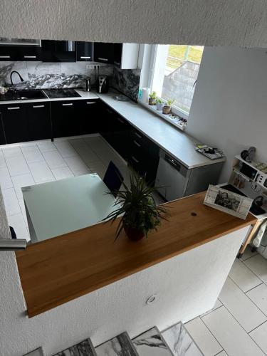 a kitchen with a table with a potted plant on it at 3izbový rodinný dom s krbom in Ružomberok