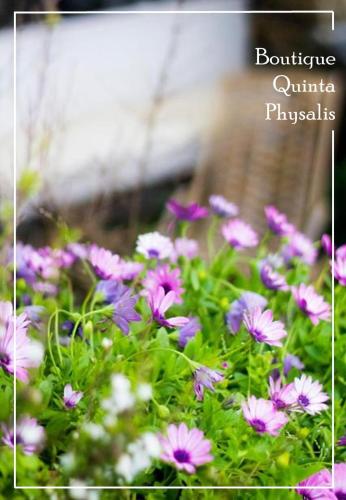 a bunch of purple and white flowers in a field at Boutique Quinta Physalis in Fenais da Luz