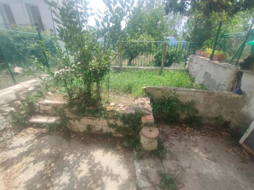 an old fire hydrant in a yard next to a fence at Vannelli Rooms in Castelbottaccio