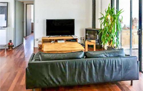 - un canapé en cuir dans le salon avec une télévision à écran plat dans l'établissement Awesome Home In La Teste-De-Buch, à La Teste-de-Buch