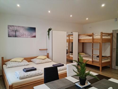 Postel nebo postele na pokoji v ubytování Apartmány Žireč