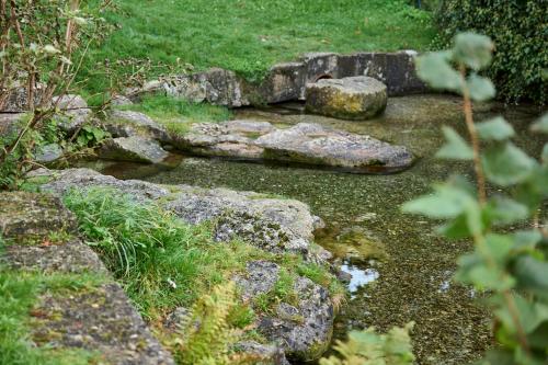 a garden with rocks and a stream of water at Gasthof zum Bad in Langenau