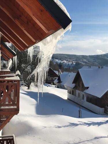 Apartmán Vítkovice 405