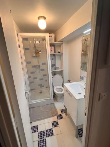 une salle de bain avec une douche, des toilettes et un lavabo dans l'établissement Bords de Marne Charmant Appart, à Thorigny-sur-Marne