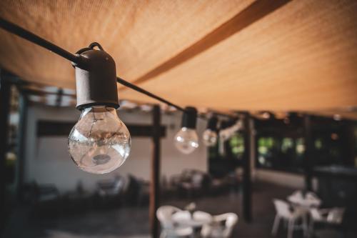 a group of light bulbs hanging from a ceiling at Hercegasszony Birtok in Mezőtúr