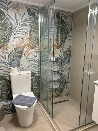 a bathroom with a toilet and a glass shower at JD family luxury apartment 1 in Volos