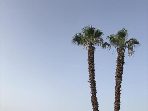Gambar di galeri bagi CasapiuHolidaySicilia-Adults Only di Noto