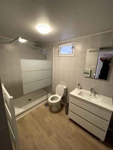 une salle de bain avec toilettes, lavabo et douche dans l'établissement Sète, grande villa familiale avec Jacuzzi, à Sète