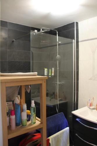 une salle de bain avec une douche en verre et un lavabo dans l'établissement Sète - bel appartement 4 étoiles avec terrasse vue Saint Clair - plein centre - garage, à Sète