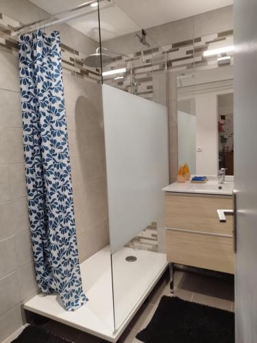 une salle de bain avec une douche en verre et un lavabo dans l'établissement Les CHAMBRES de PERPIGNAN, à Perpignan