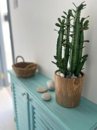 a plant in a wooden pot on a blue cabinet at Retreat block B1 unit16 in Küçükerenköy