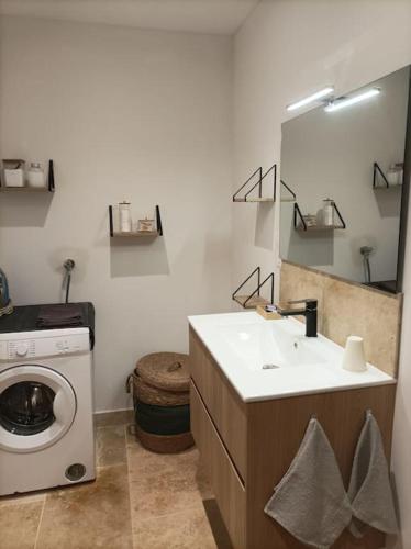une salle de bain avec un lavabo et une machine à laver dans l'établissement Le nid, à Saint-Yrieix-la-Perche