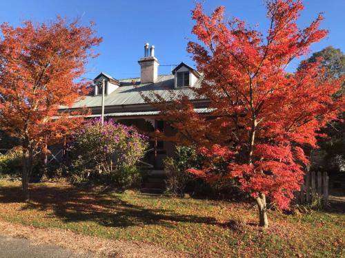 a house with red trees in front of it at Larsens Cottage 1 - Historic 1880 Home in Mount Victoria