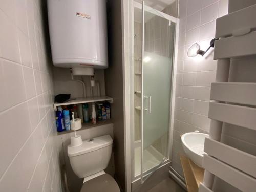 une petite salle de bain avec toilettes et lavabo dans l'établissement Studio pour 4 Pers. Proche Pistes, Parking, Casier à Skis - Crest-Voland - FR-1-733-68, à Crest-Voland