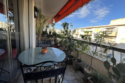 Bright 31m2 flowered terrace near Croisette