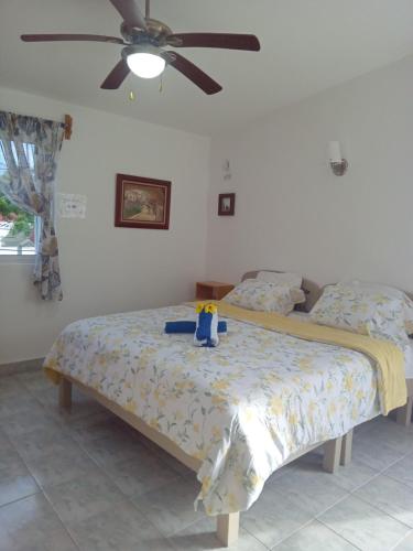 a bedroom with a bed and a ceiling fan at Estudio Coatí Azul en la Isla de Cozumel en el Caribe in Cozumel