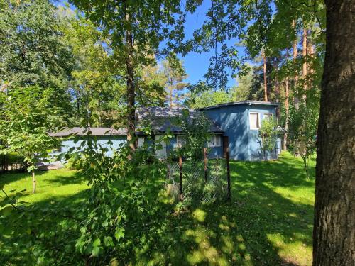 a house in the middle of a yard with trees at Wioska pod Kogutem in Krępa