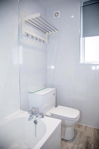 a white bathroom with a toilet and a sink at Glebe Street Apartment in Fife