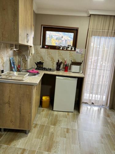 Kuchyň nebo kuchyňský kout v ubytování Guesthouse Saba