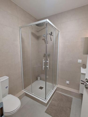 une cabine de douche dans une salle de bain avec toilettes dans l'établissement Appartement moderne avec terrasse et vue panoramique, à Strasbourg