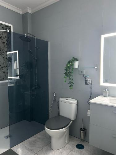 a bathroom with a toilet and a shower and a sink at Basement apartments in San Bartolomé