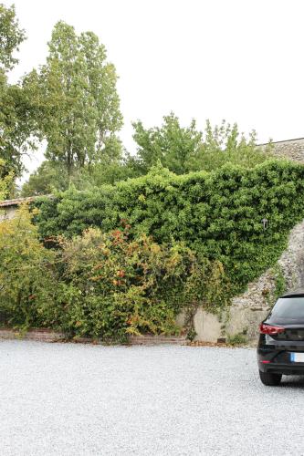 a car parked next to a wall with plants at Rêve Champenois Chambres d'Hôtes in Rilly-la-Montagne