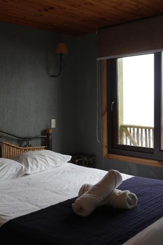 a teddy bear laying on a bed with a window at Delfín Apart in Pichilemu