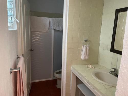 a bathroom with a sink and a toilet at Villita en la floresta in Ajijic