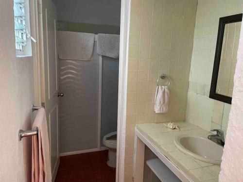 a bathroom with a sink and a toilet at Villita en la floresta in Ajijic