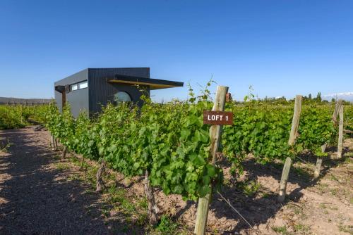 a vineyard with a sign in front of a building at Posada Mawida in Maipú