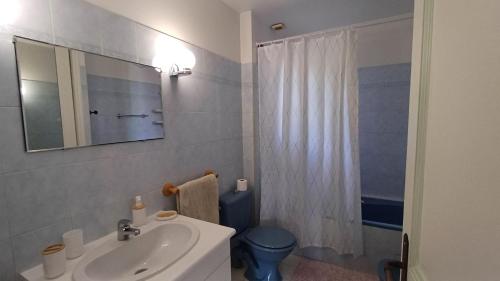 une salle de bain avec un lavabo, des toilettes et un miroir dans l'établissement Appartement dans villa à Valescure, à Saint-Raphaël