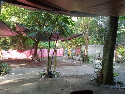 a group of trees with a pink umbrella at SECLUDED GLAMPING YOGA SAMADHI fan 2 kubos 8 pax in Rimus