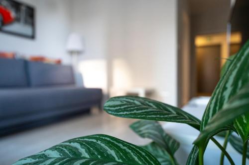 Airport Residence Green