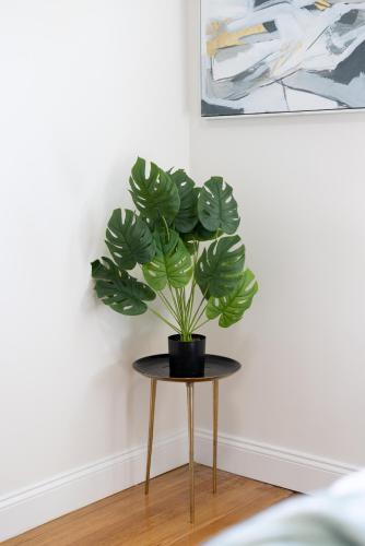 a plant sitting on a table in a room at The Charles-South Shore in Randolph