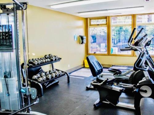 Fitness centrum a/nebo fitness zařízení v ubytování Lake View From Every Window!