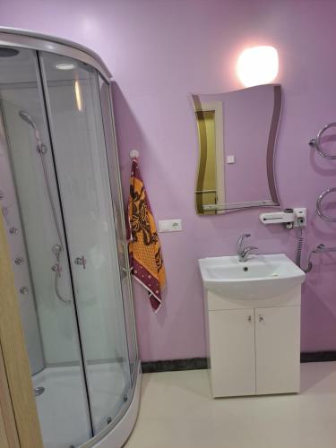a bathroom with a shower and a sink and a mirror at Comfortable Townhouse in Vilnius