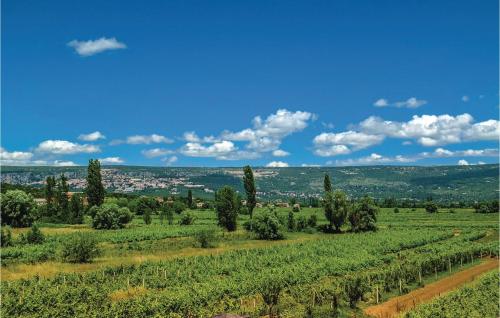 a view of a field with trees and vines at Beautiful Home In Kamen Most in Kamenmost