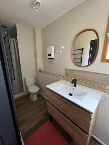 une salle de bain avec un lavabo, des toilettes et un miroir dans l'établissement Charmante Maison, à Ardentes