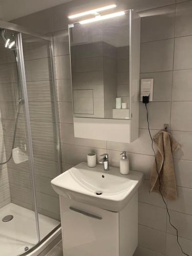 a white bathroom with a sink and a shower at River Living Apartman in Budapest