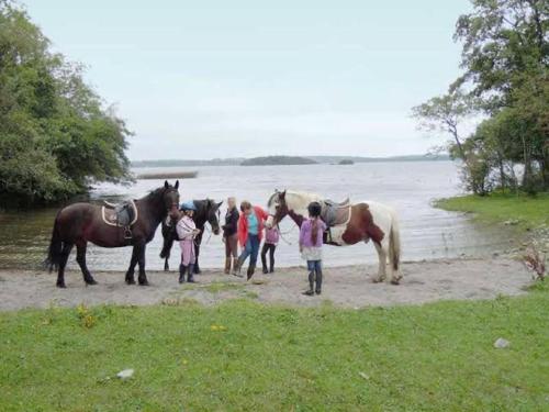 a group of people with horses on a beach at Carraig House Cozy countryside apartment in Cavan