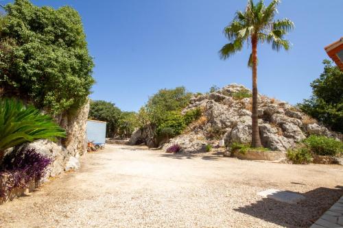 Κήπος έξω από το Casa Penya Fegina