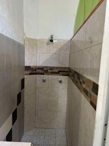 a bathroom with a shower with tiled walls at Hotel Libramiento Puerto Vallarta in Puerto Vallarta