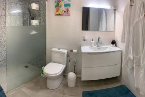 レ・トロワ・イレにあるGîte villa soleil & Spaのトイレ、洗面台、シャワー付きのバスルーム