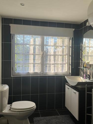 une salle de bain avec toilettes, lavabo et fenêtre dans l'établissement La Maison dans le jardin du Manoir de Bouron, à Moigny