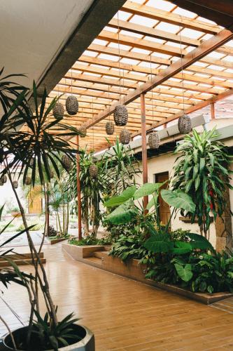 a room filled with lots of plants at Hotel Posada Virreyes in Guadalajara