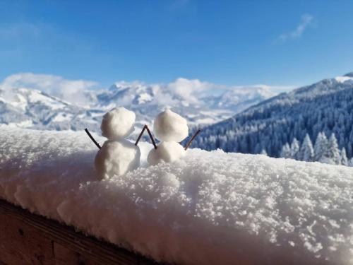 Finks Appartement en invierno